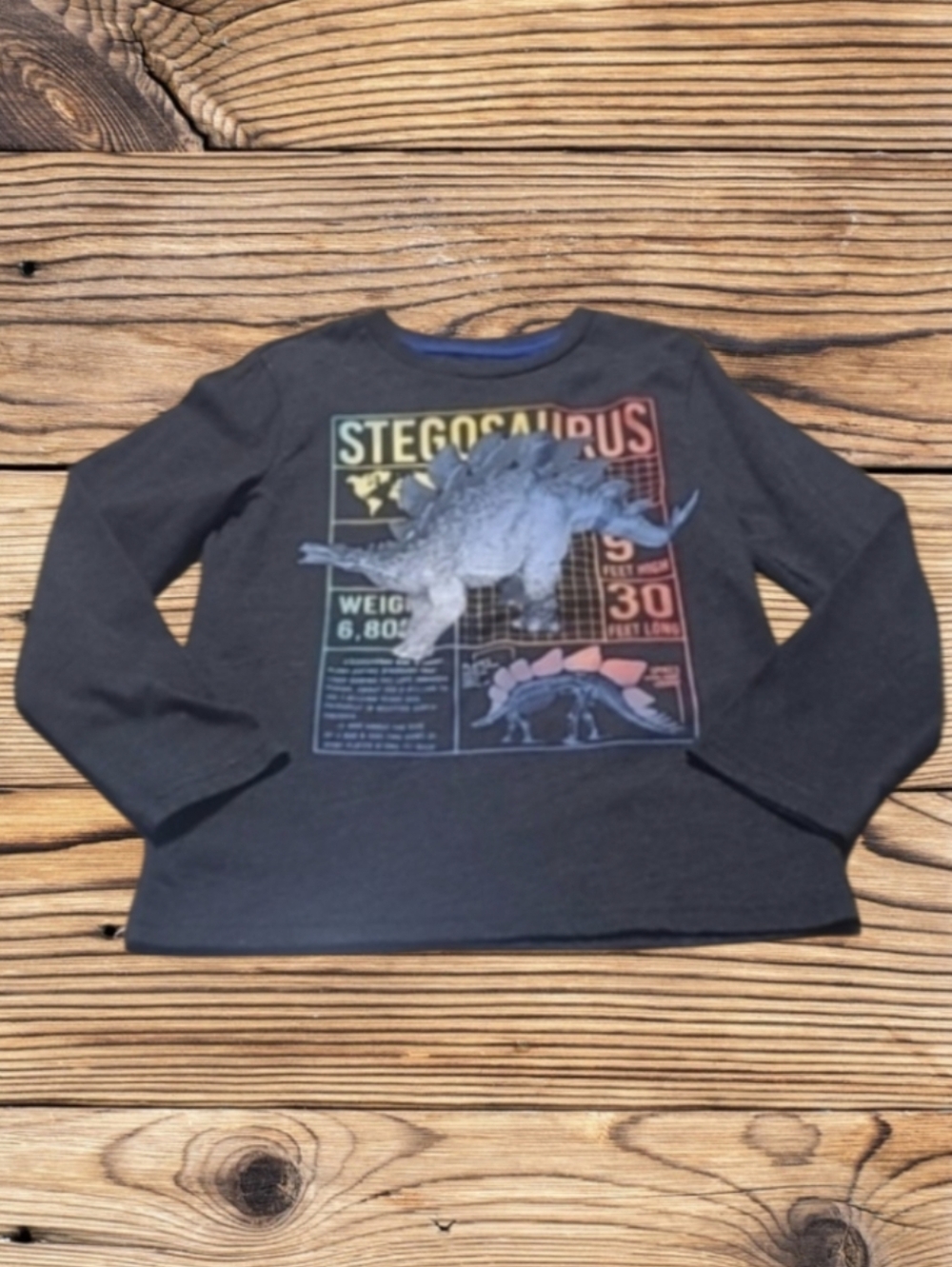 BOY'S 365 KIDS DINOSAUR LONGSLEEVE SHIRT